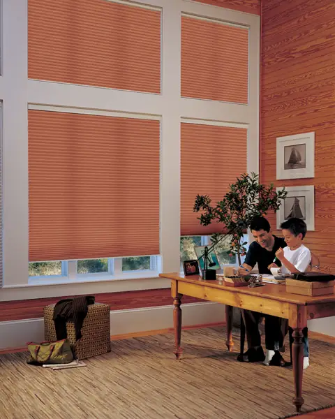 Cellular Shades photo 69 of 90